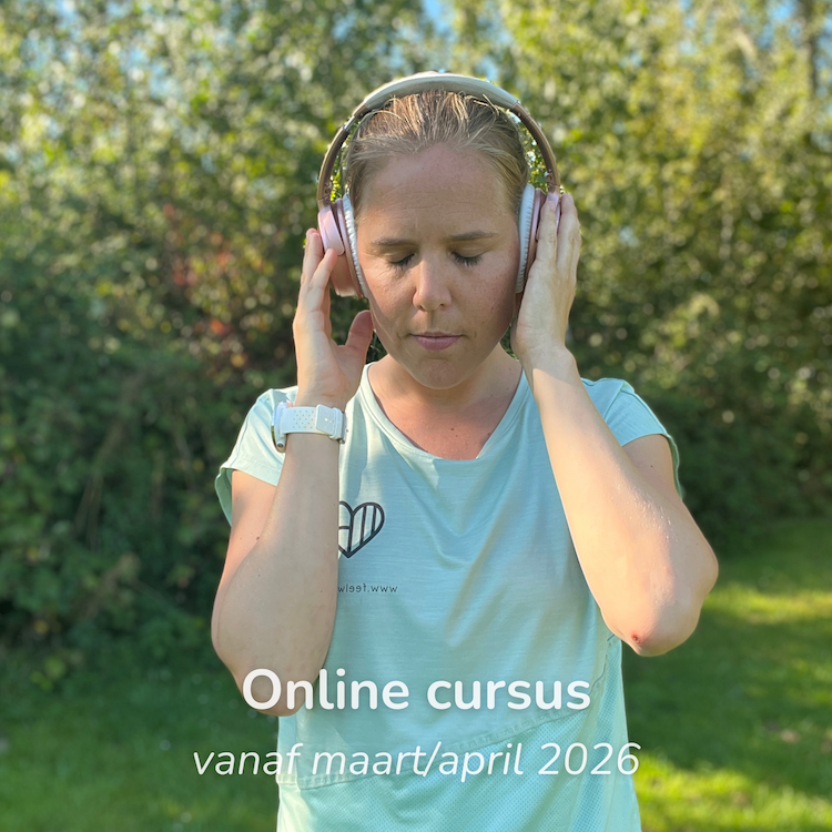 Online cursus - klein